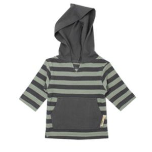 Organic Hoodie in Gray/Seafoam Stripe